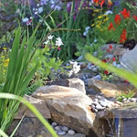 Southport Pond Gallery 2024
