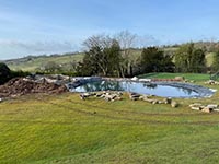 Pond Gallery