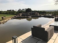 Pond Gallery
