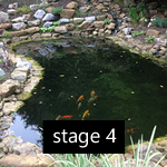 Pond Gallery