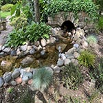 Pond Gallery