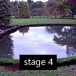 Pond Gallery