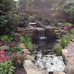 Pond Gallery
